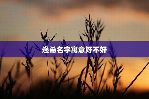 逸希名字寓意好不好