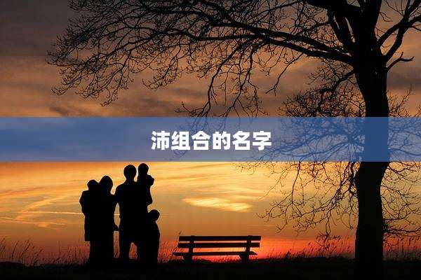 沛组合的名字