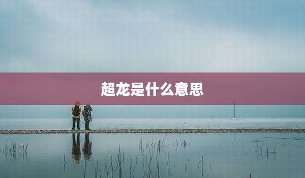 超龙是什么意思