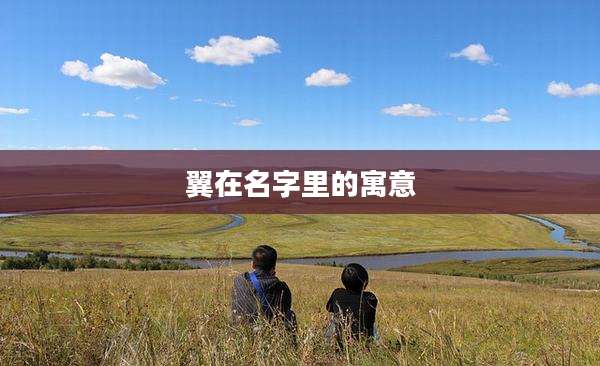 翼在名字里的寓意