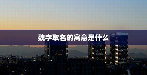 魏字取名的寓意是什么