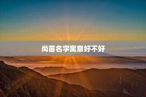 尚苗名字寓意好不好