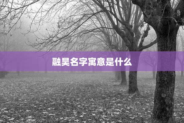融昊名字寓意是什么