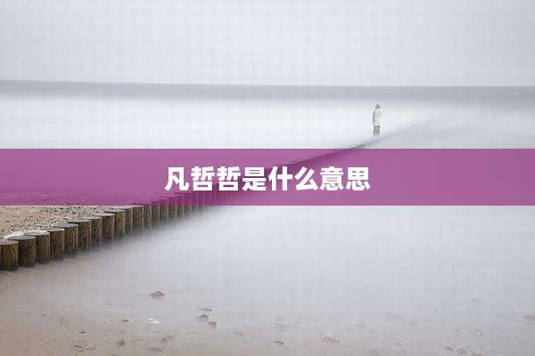 凡哲哲是什么意思