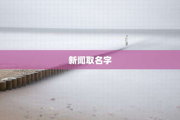 新闻取名字