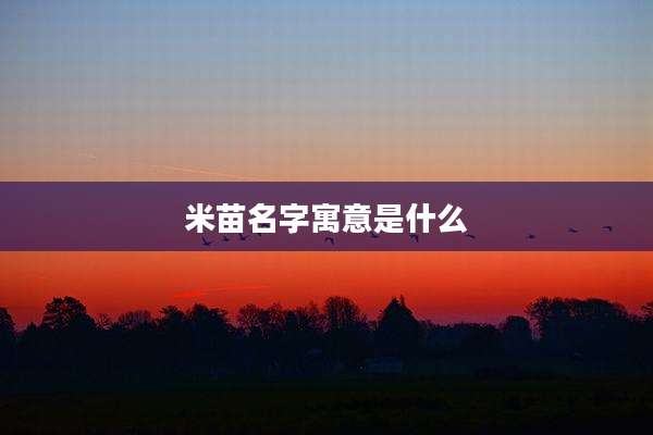 米苗名字寓意是什么