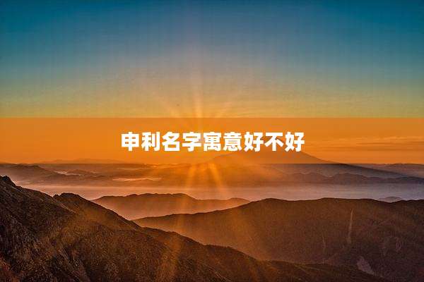 申利名字寓意好不好