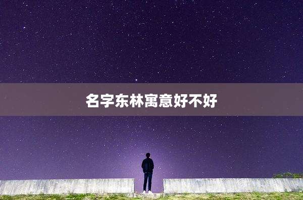名字东林寓意好不好