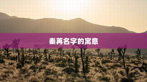 秦苒名字的寓意