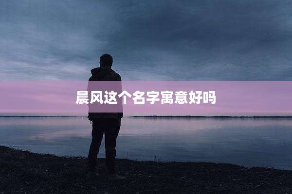晨风这个名字寓意好吗