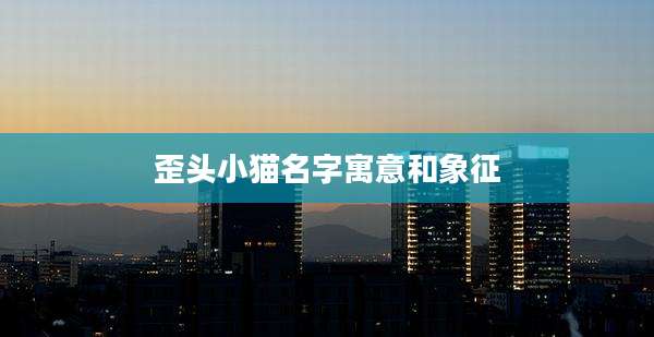 歪头小猫名字寓意和象征