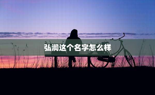 弘润这个名字怎么样