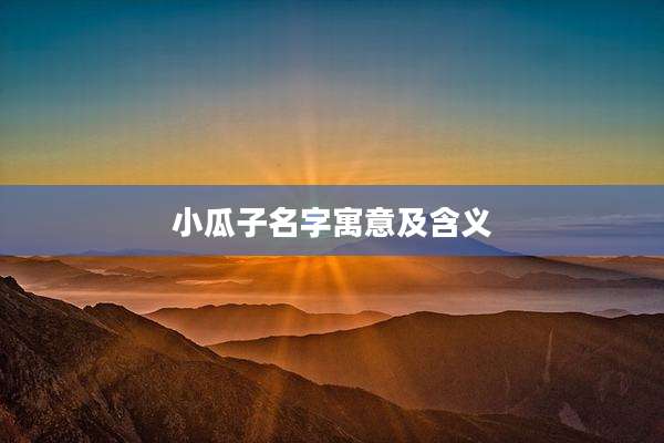 小瓜子名字寓意及含义