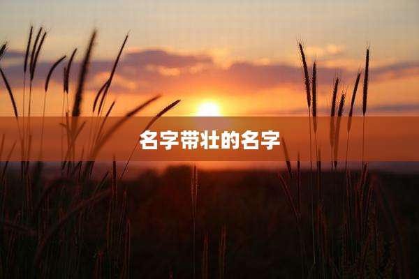 名字带壮的名字