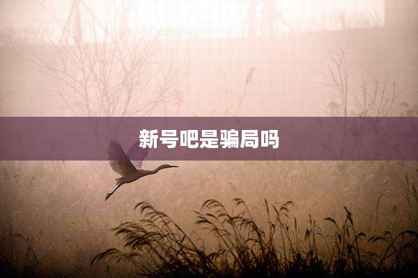 新号吧是骗局吗