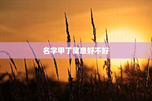名字甲丁寓意好不好