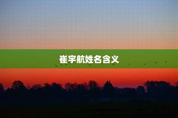 崔宇航姓名含义