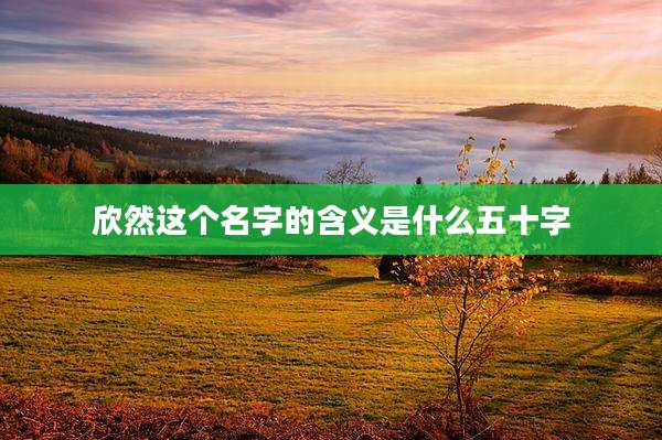 欣然这个名字的含义是什么五十字