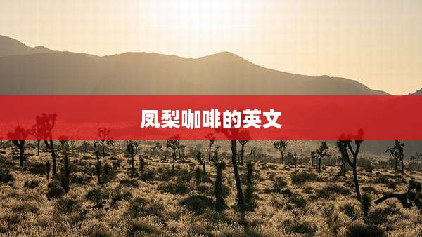 凤梨咖啡的英文