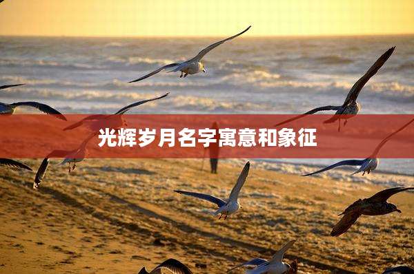 光辉岁月名字寓意和象征