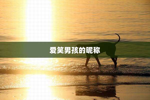 爱笑男孩的昵称