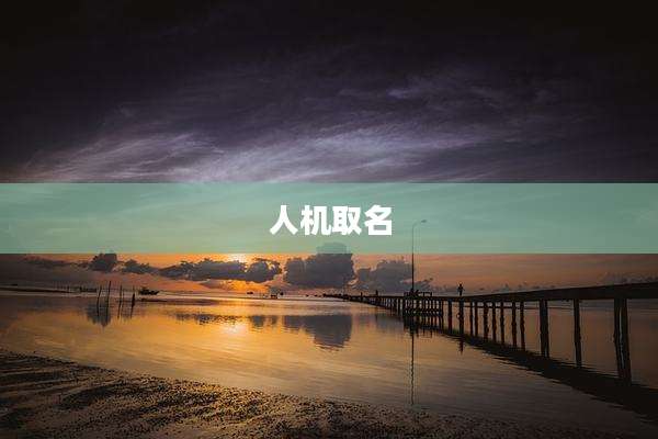 人机取名