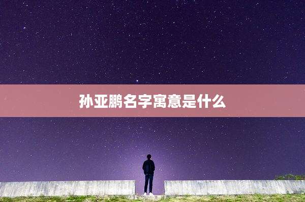 孙亚鹏名字寓意是什么