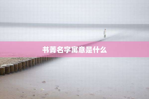 书菁名字寓意是什么