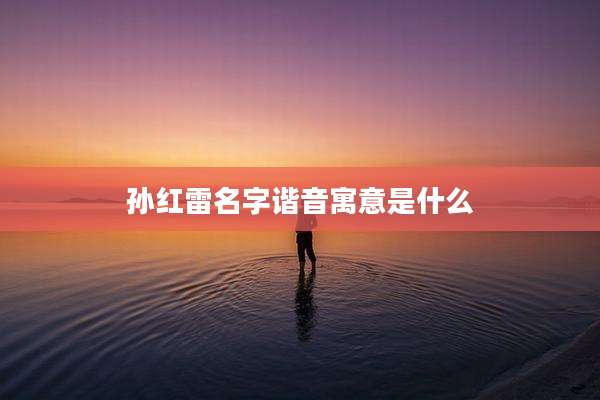 孙红雷名字谐音寓意是什么