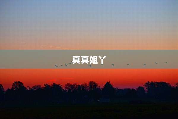 真真姐丫