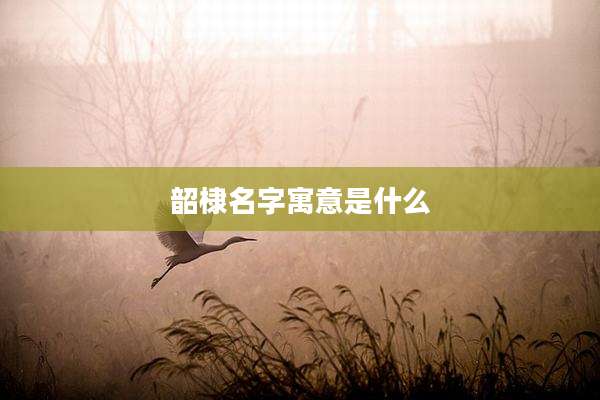 韶棣名字寓意是什么