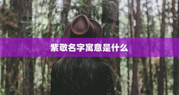 紫敬名字寓意是什么