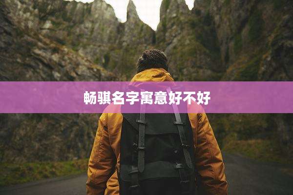 畅骐名字寓意好不好