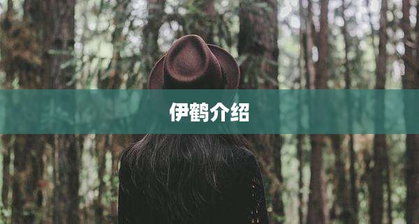 伊鹤介绍