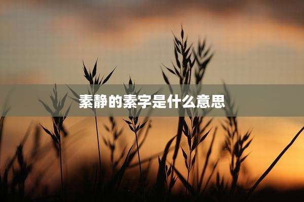 素静的素字是什么意思