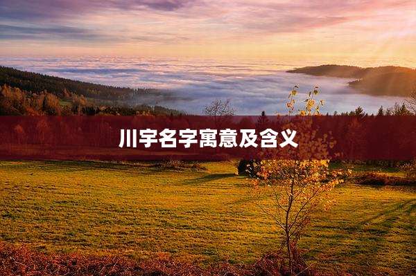 川宇名字寓意及含义