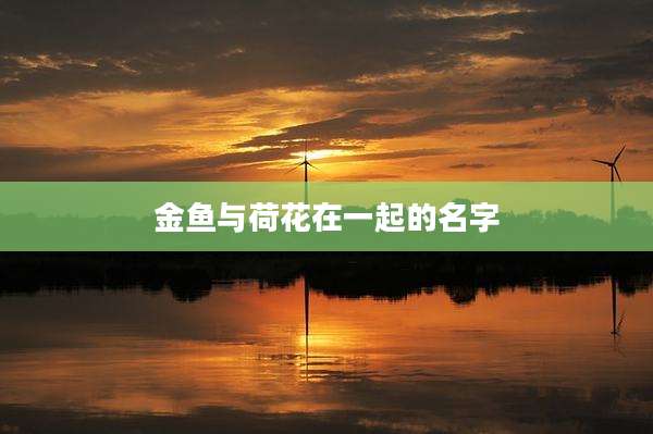 金鱼与荷花在一起的名字