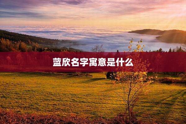 蓝欣名字寓意是什么