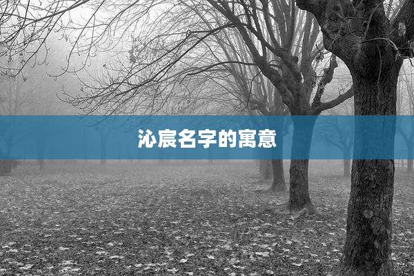 沁宸名字的寓意