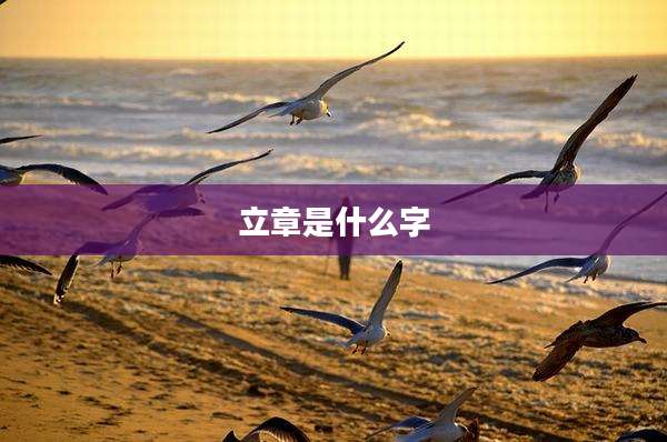 立章是什么字