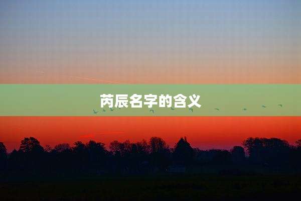 芮辰名字的含义