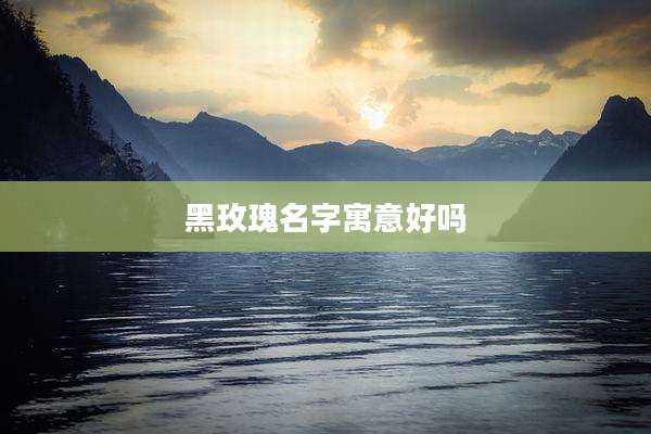 黑玫瑰名字寓意好吗