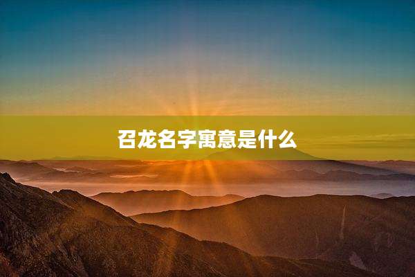 召龙名字寓意是什么