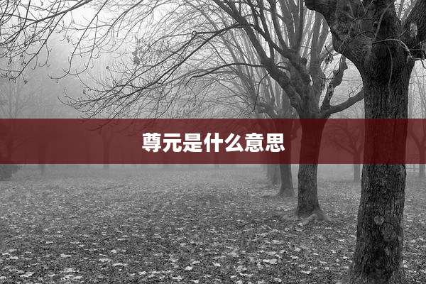 尊元是什么意思