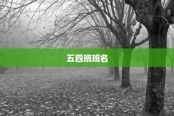 五四班班名