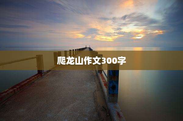 爬龙山作文300字