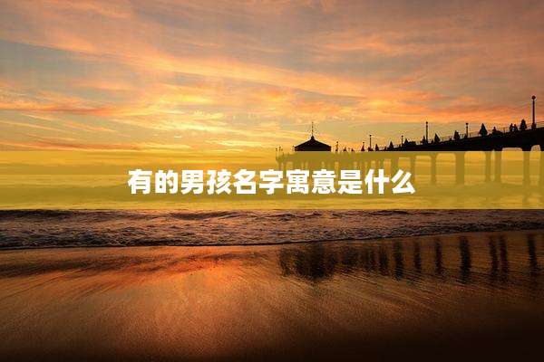 有的男孩名字寓意是什么