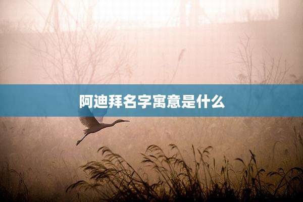阿迪拜名字寓意是什么