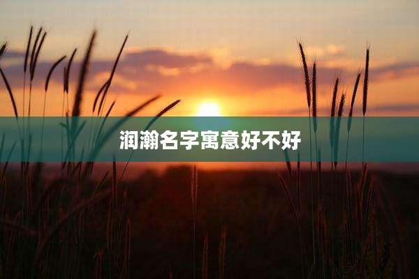 润瀚名字寓意好不好