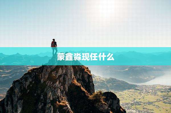 蒙鑫淼现任什么